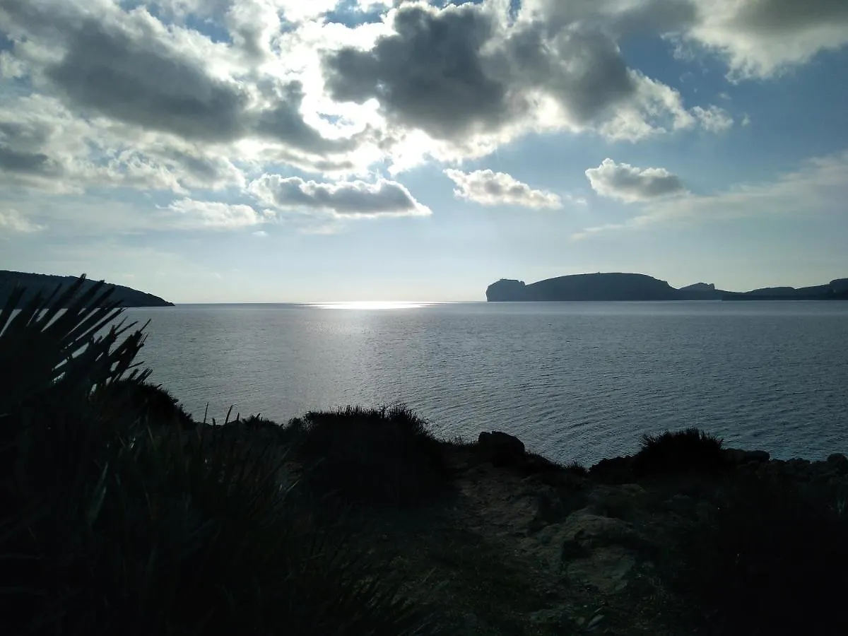 Piazza Ginnasio Affittacamere Alghero Vendégház